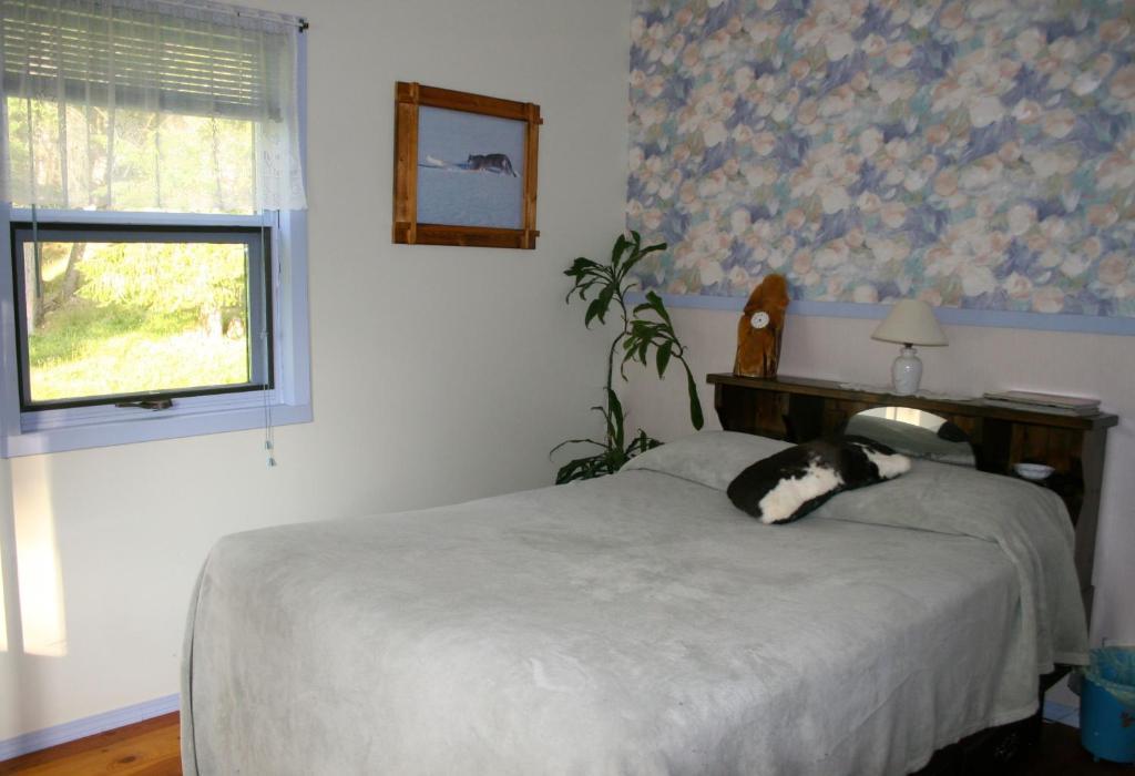 Dunphy'S Bed And Breakfast Parson Zimmer foto